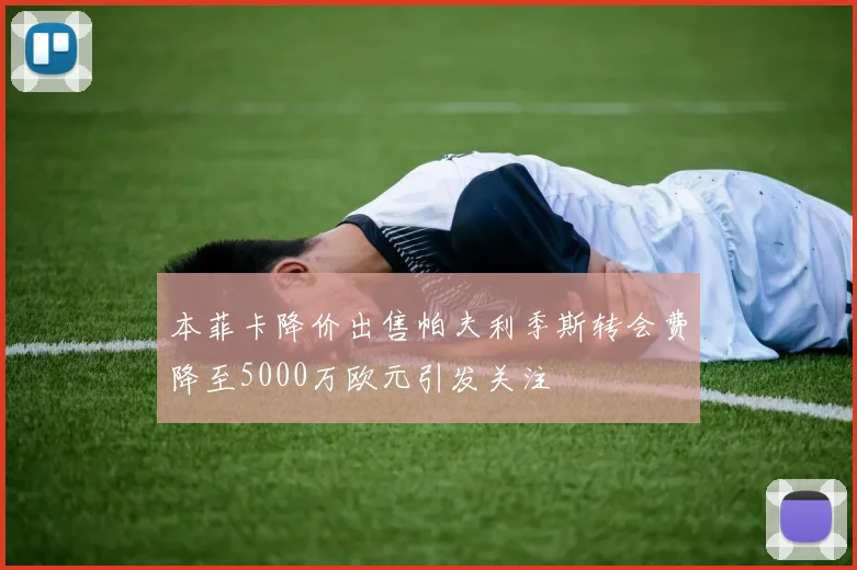 本菲卡降价出售帕夫利季斯转会费降至5000万欧元引发关注